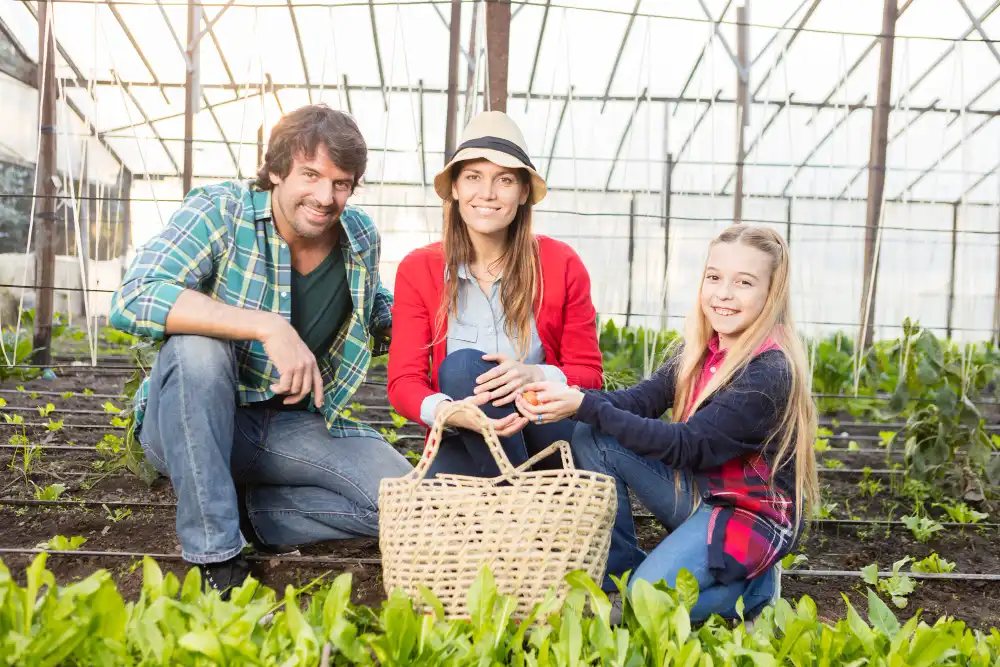 Amarilidiceae Familyası Yetiştiriciliği