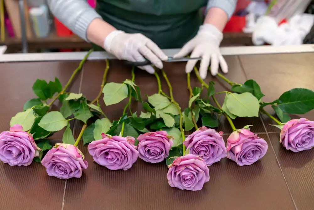 Lisianthus Yetiştiriciliği Kursu