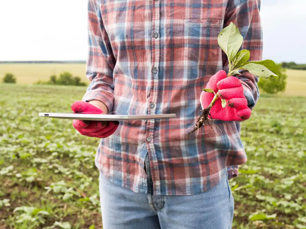 Meyve Bahçelerinde Gübreleme Kursu