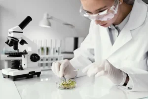 Antepfıstığında Aşılama Kursu