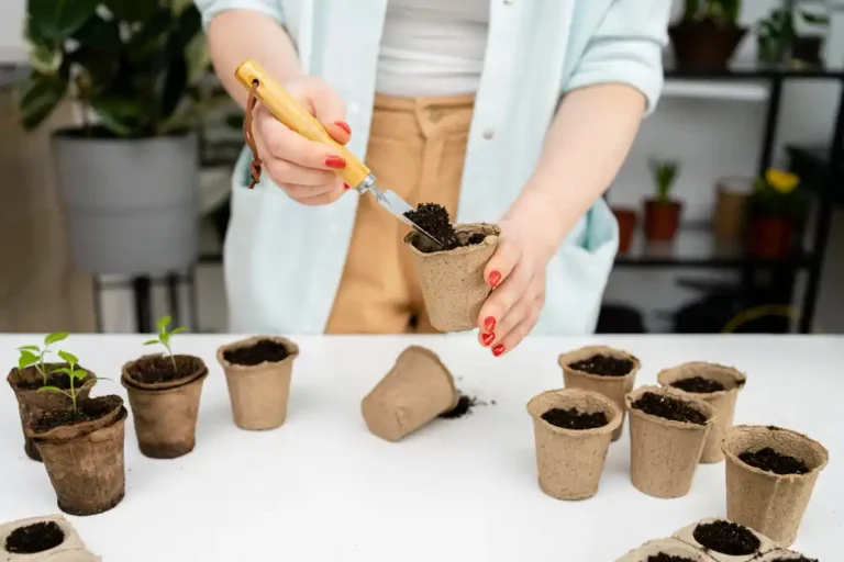 Monstera Yetiştiriciliği Kursu