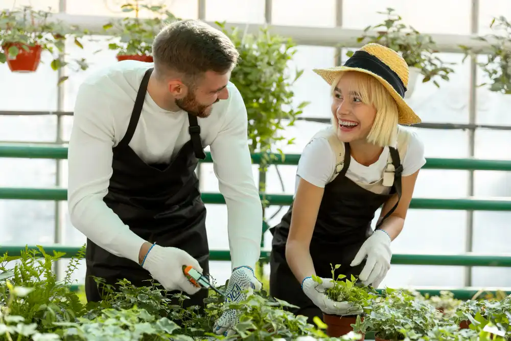 Temel Dış Mekân Bitki Yetiştiriciliği