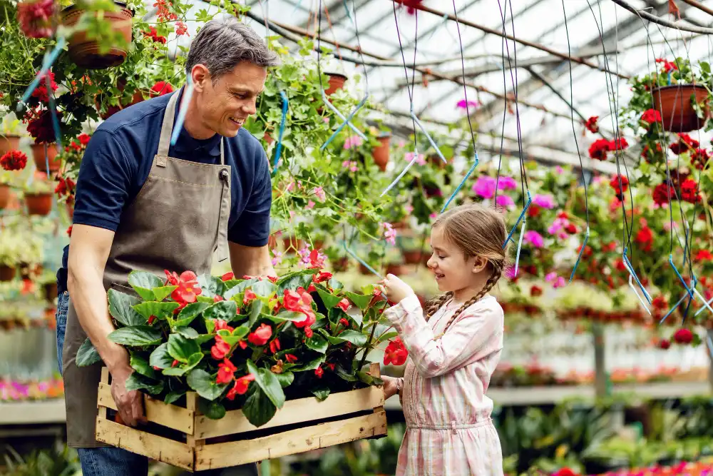 İridaceae Familyası Yetiştiriciliği