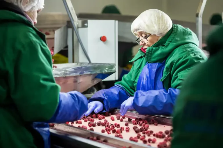 Tohum Hazırlama, İlaçlama Ve Paketlemede Tarımsal Tesis İşletme Bakım Ve Onarımcısı Kursu