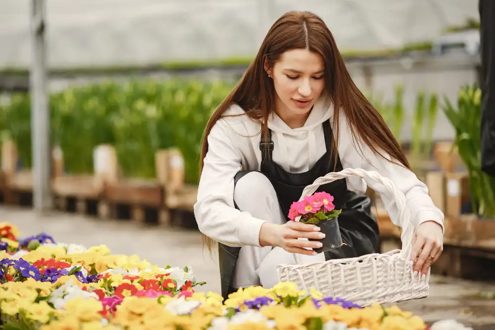 Lisianthus Yetiştiriciliği Kursu