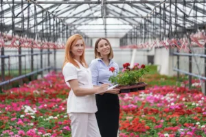 Karanfil Yetiştiriciliği Kursu