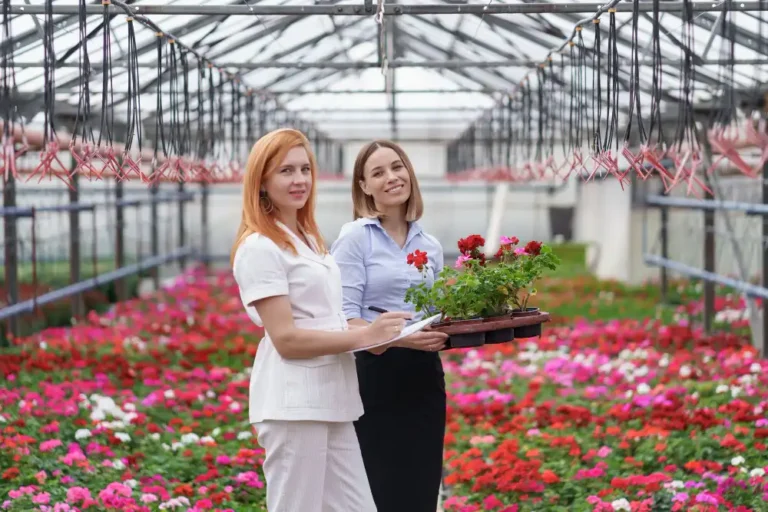 Karanfil Yetiştiriciliği Kursu