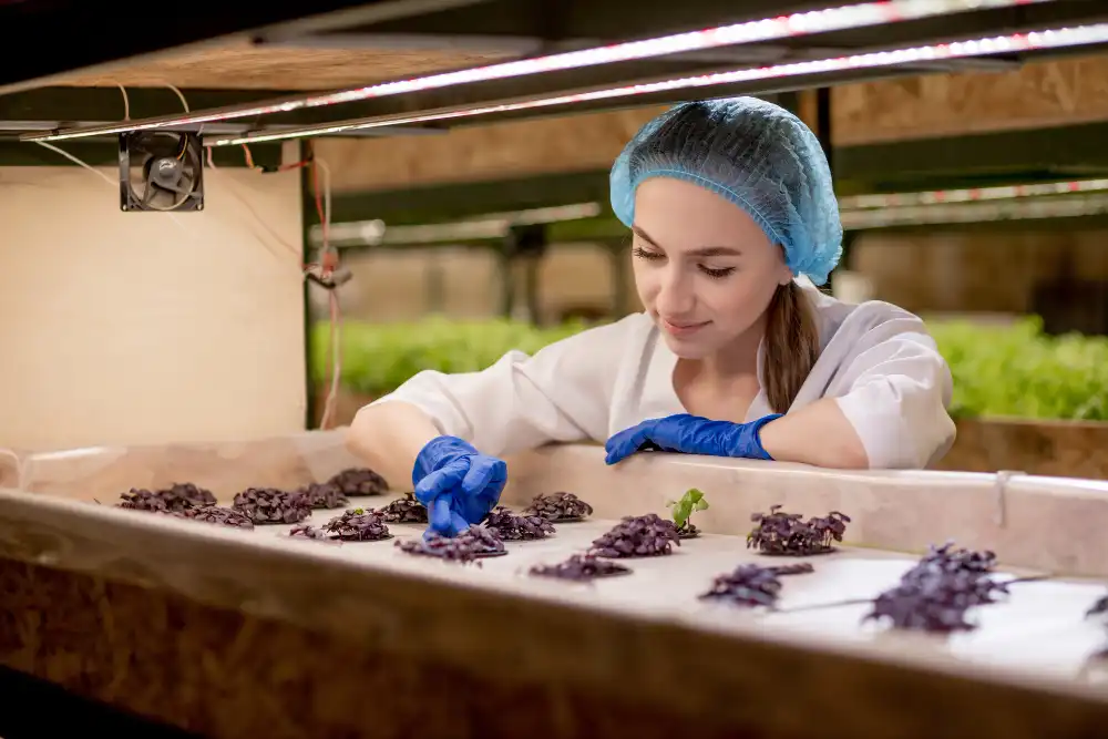 Tohum Hazırlama, İlaçlama Ve Paketlemede Tarımsal Tesis İşletme Bakım Ve Onarımcısı Kursu