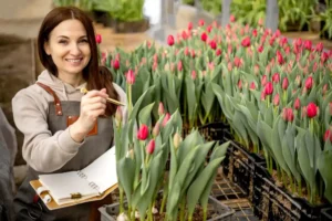 Lale Yetiştiriciliği Kursu