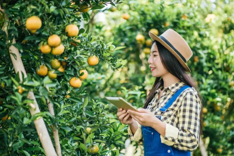 Mandarin Yetiştiriciliği Kursu