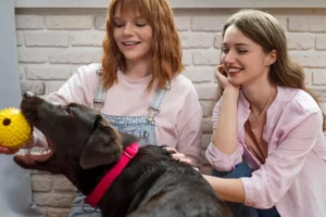 Pet Hayvanları (Kedi-Köpek) Kursu