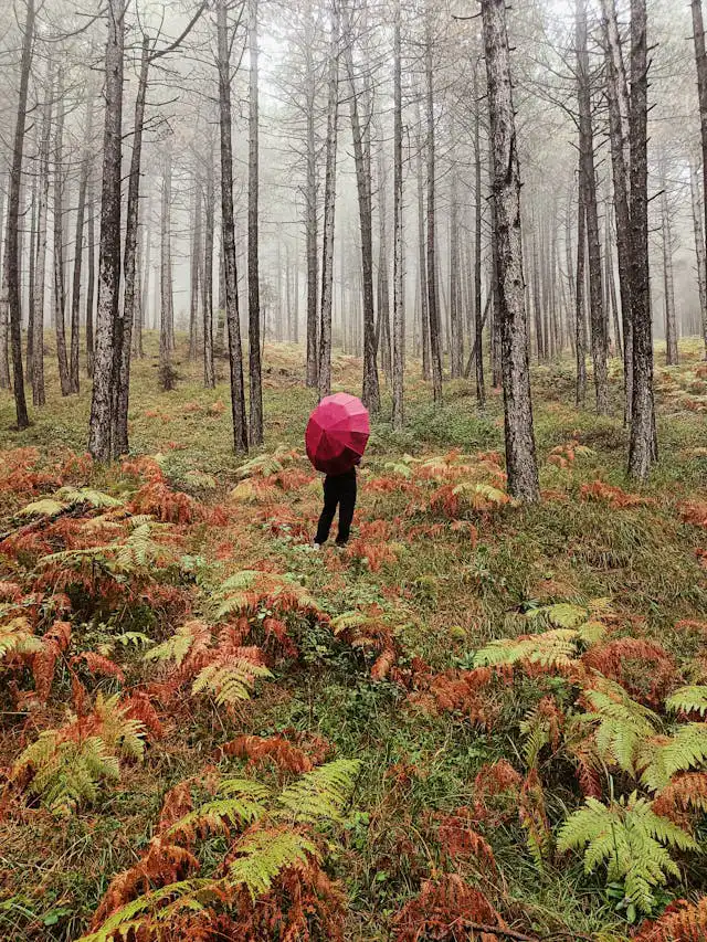 Eğrelti Yetiştiriciliği Kursu