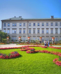 Süs Bitkileri Yetiştiriciliği Geliştirme