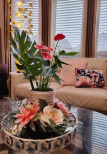 Begonia Yetiştiriciliği Kursu