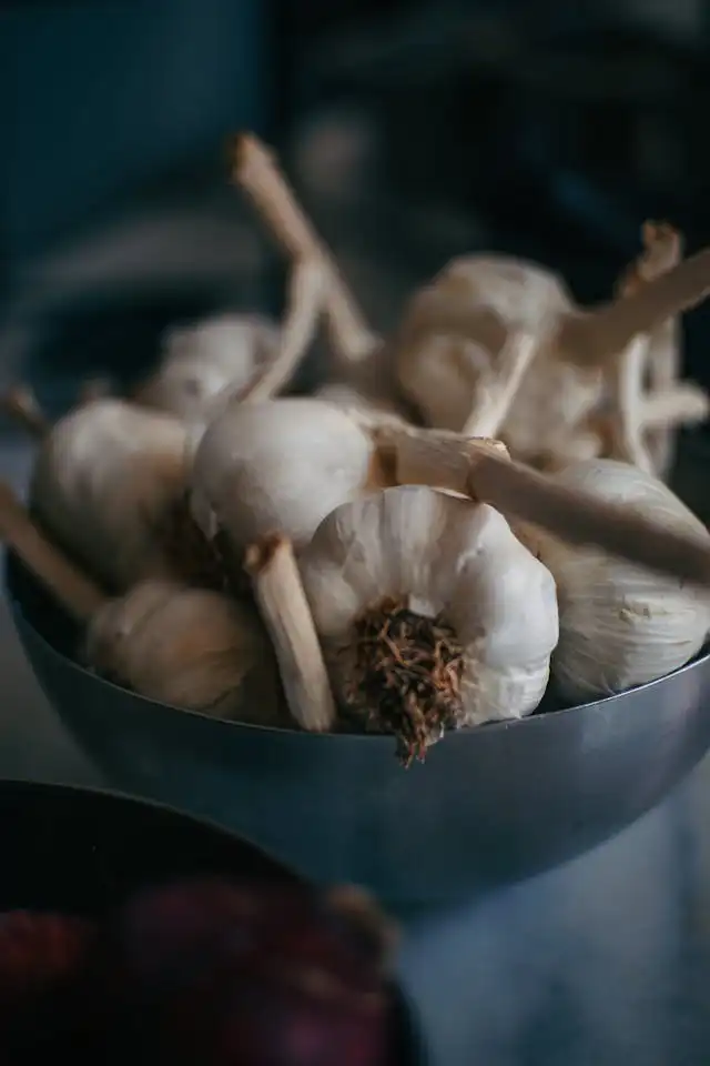 Sarımsak Yetiştiriciliği Kursu