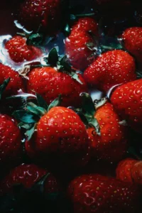 Çilek Yetiştiriciliği Kursu