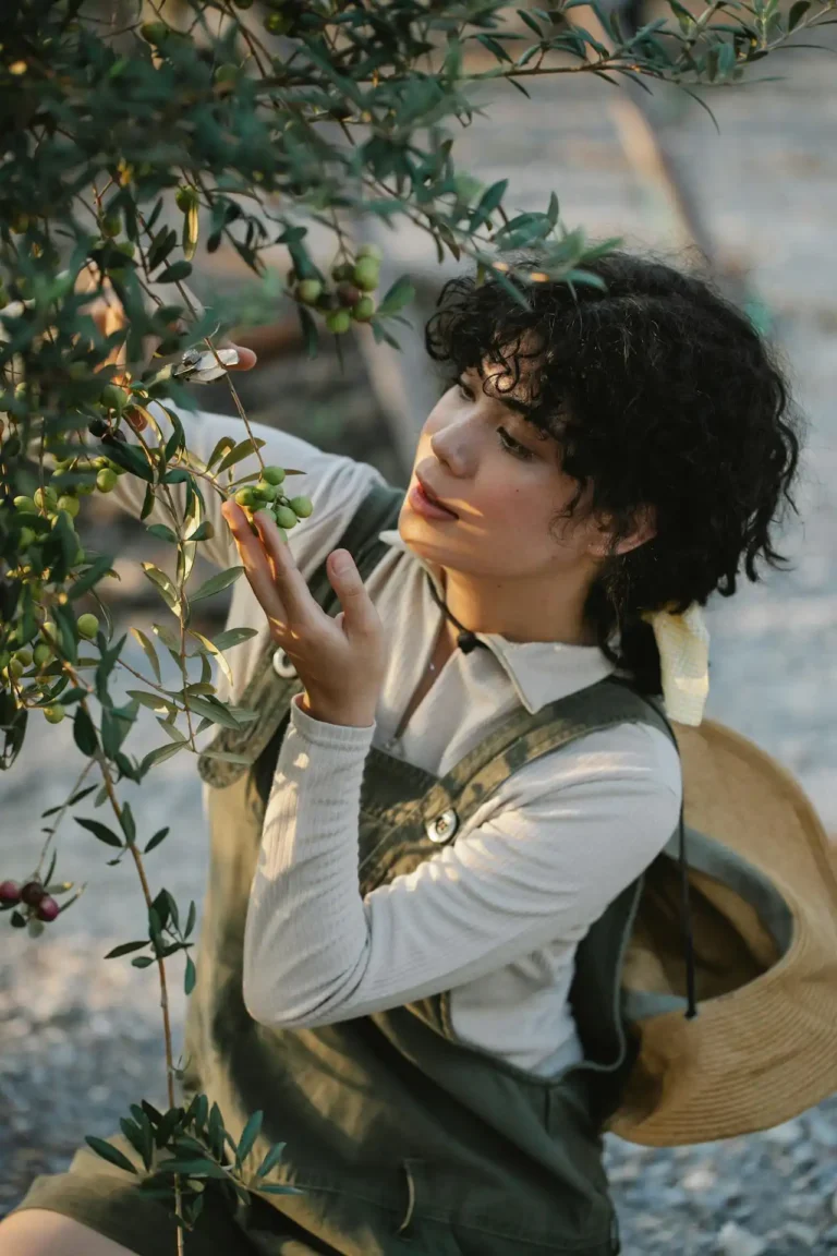 Ev Tipi Sofralık Zeytin İşleme Kursu