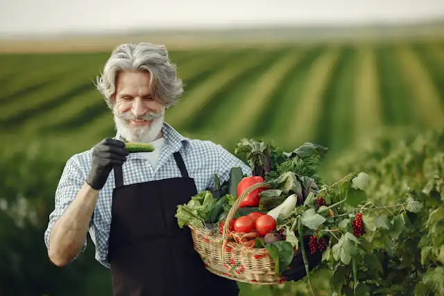 Örtü Altı Domates Yetiştiriciliği Kursu