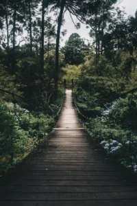 Orman Emvali Üretim İşçiliği Kursu