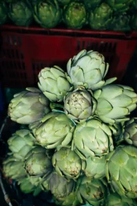 Enginar Yetiştiriciliği Kursu