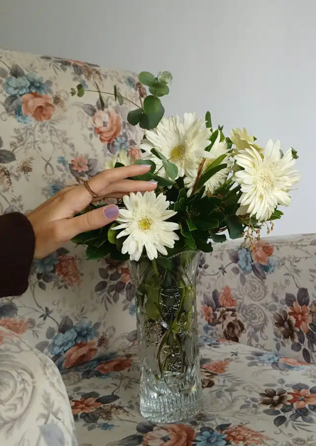 Gerbera Yetiştiriciliği Kursu