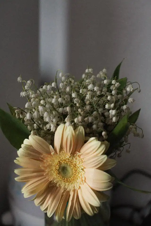 Gerbera Yetiştiriciliği Kursu