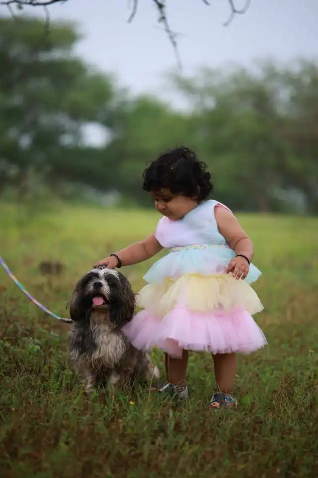 OYUN TERAPİSİ Kurs