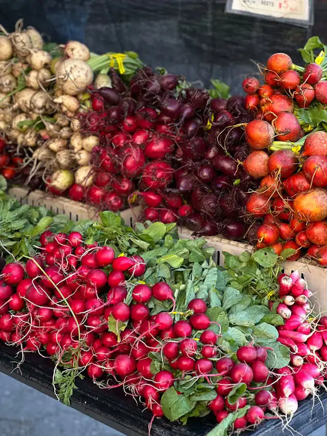 Curciferea Familyası Yetiştiriciliği