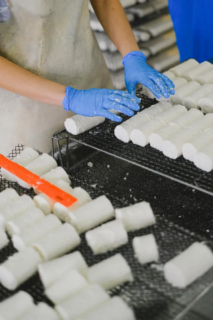 Gıda Hijyeni ve Sanitasyon Kursu