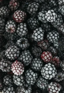 Dondurulmuş Sebze ve Meyve Operatörü