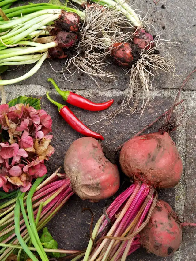 Curciferea Familyası Yetiştiriciliği