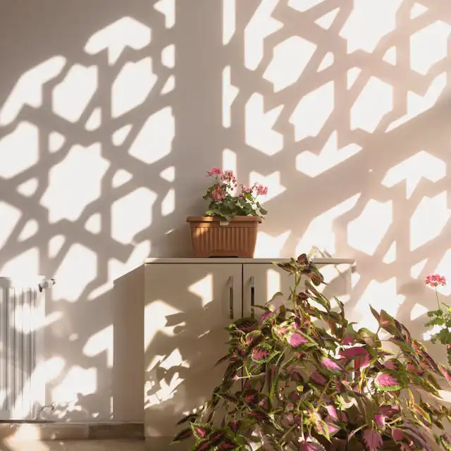 Coleus Yetiştiriciliği Kursu