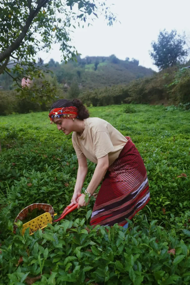Çay Harmanlama Elemanı Kursu