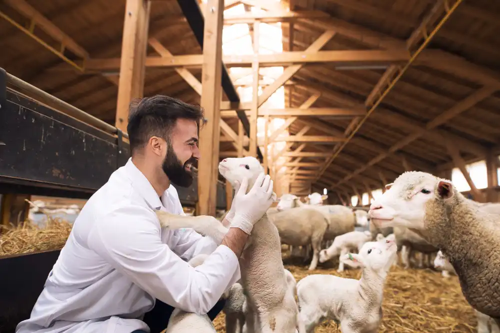 Sürü Yönetimi Elemanı Kursu