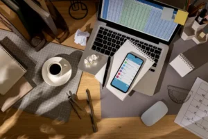 Muhasebede Veri Tabanlı Program Kullanma