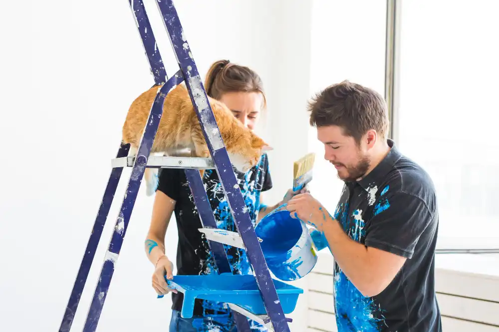 Boya - Badana Yapma Geliştirme