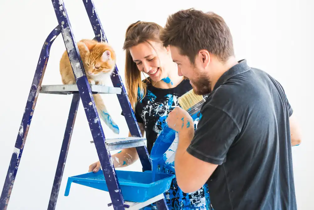 Boya - Badana Yapma Geliştirme