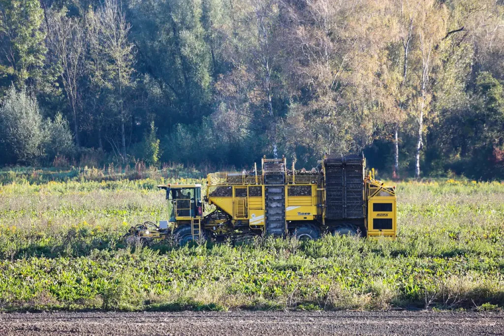 Seyyar Pancar Boşaltma - Temizleme - Yükleme