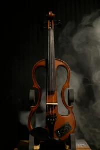 Keman Yapımcısı Kursu