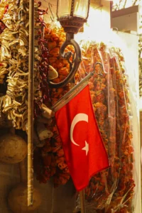 Anadolu ve Türk Kültürü Kursu