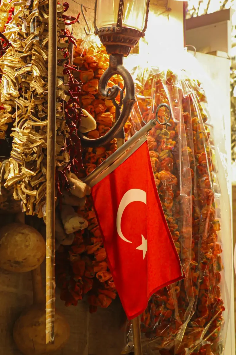 Anadolu ve Türk Kültürü Kursu