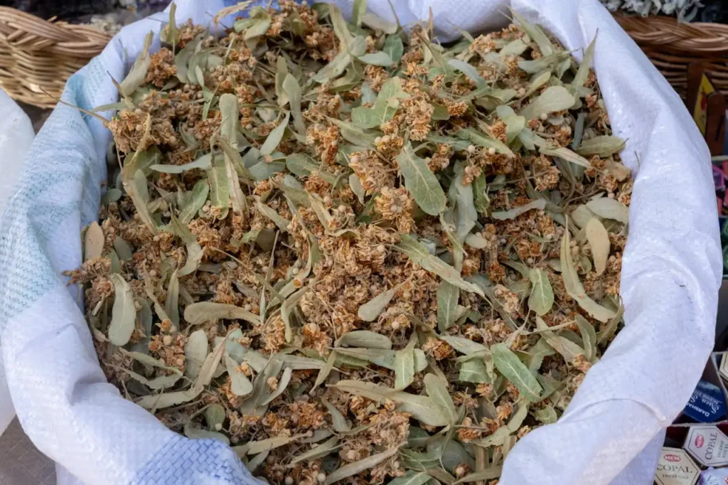 İlaç ve Baharat Bitkileri Yetiştiriciliği